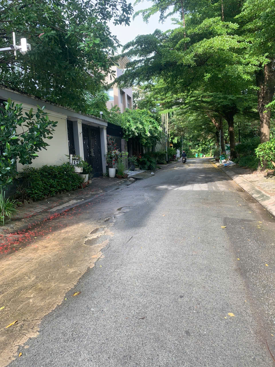 z7043881474025_3797f53d7d7151e440e5f652489e4b8b